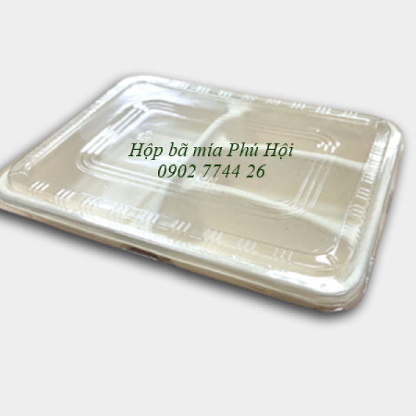 Hộp bã mía 4 ngăn nắp PET tại Quận Bình Tân TP HCM